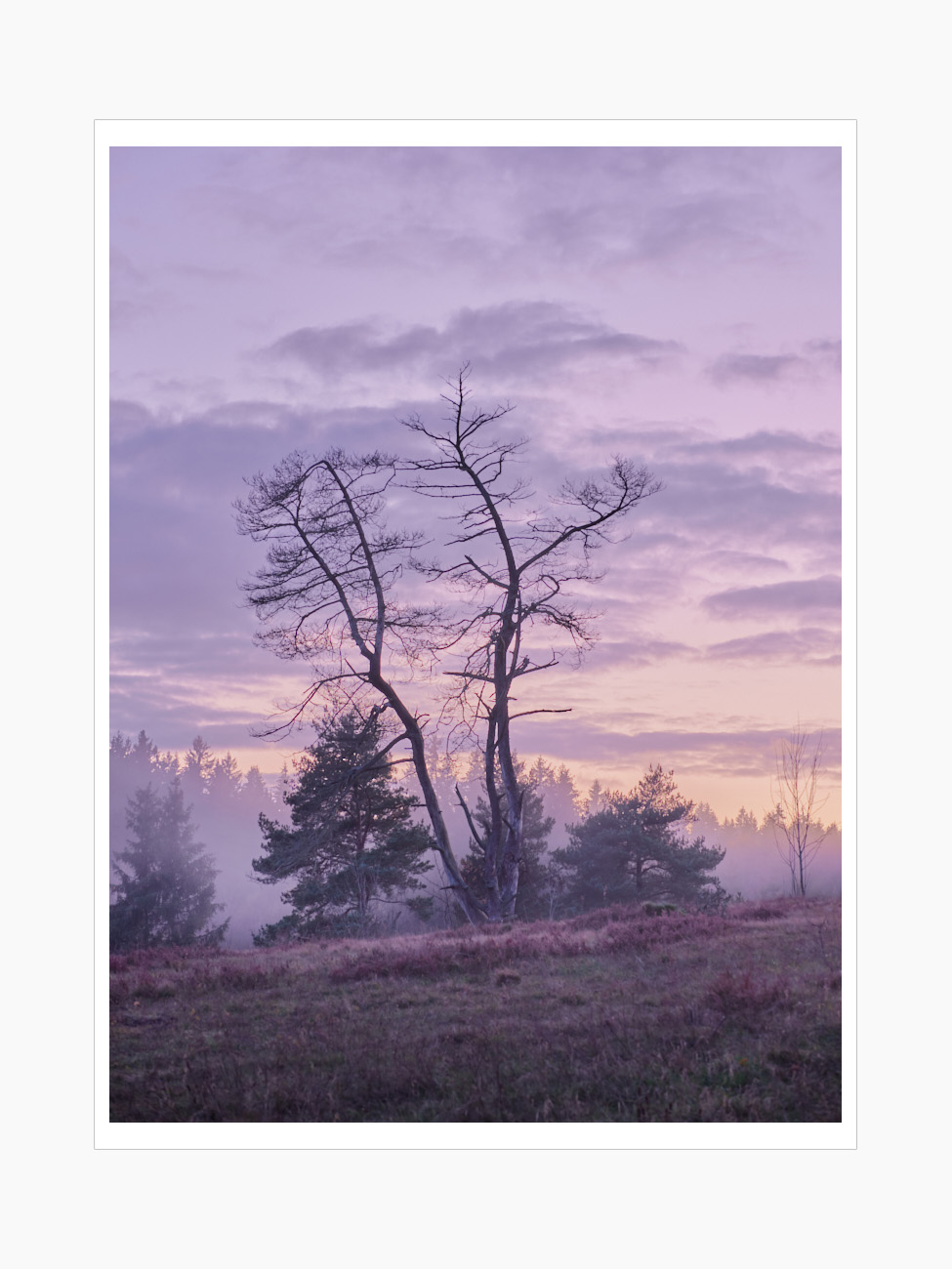 Max Schiefele Alle Bilder  DSF3521